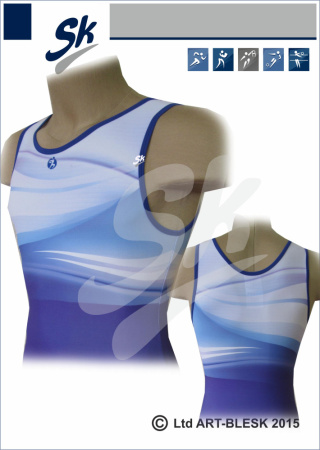 sk заготовка41